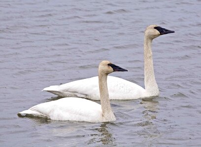 Couple female male