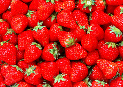 fresh strawberry full frame closeup photo