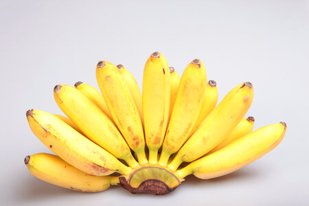 bananas photo