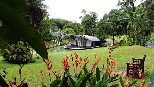 Amphitheater flowers grass photo