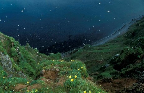 Bluff george island