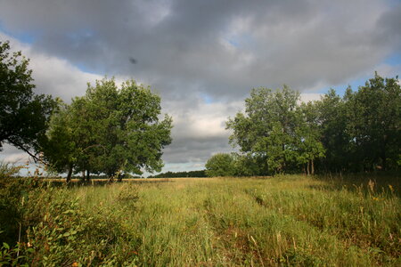 cloudy day photo