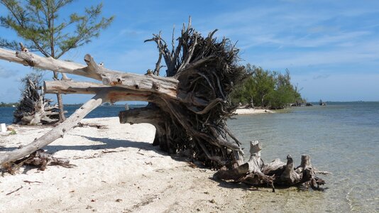 Sand tropical landscape photo