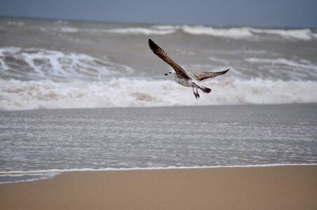 Lepe huelva shore