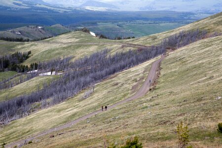 Mount Washburn, Yellowstone National Park