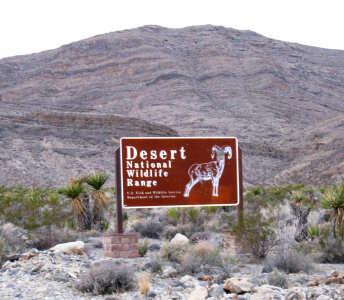 Desert National Wildlife Refuge photo