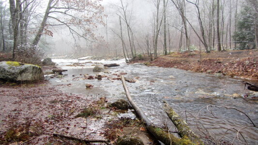 Dolly Sods Big Stonecoal Trail photo