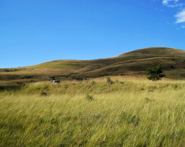 Grass sky landscape photo