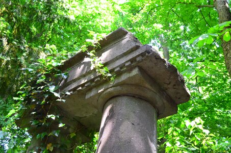 Stone sculptures overgrown green