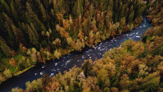Aerial View of Mountain River and Forest photo