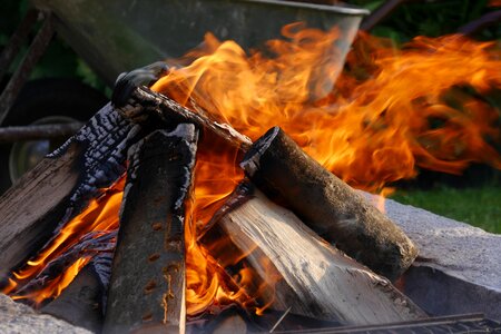 Campfire adventure wood
