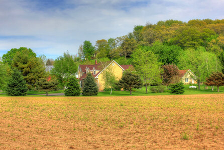 House behind Trees