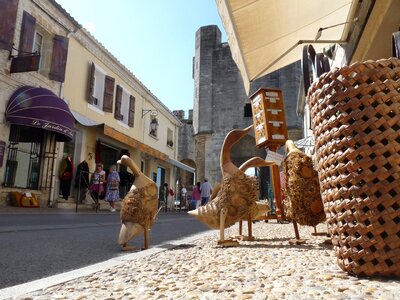 Geese shop street