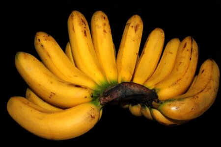 Banana breakfast dark