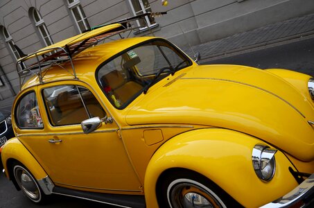 Classic beetle vw