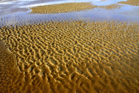 Seashore beach sand