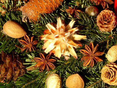 Silver seed dried flowers decoration