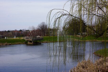 Lakeside Apartments