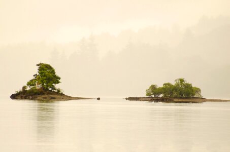 Leaf fog island photo