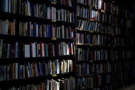 Light shelf education photo