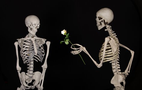 Congratulations friendship love