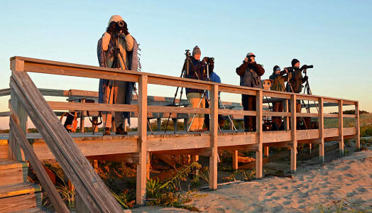 Photographers on boardwalk