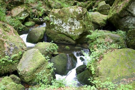Brook stones 