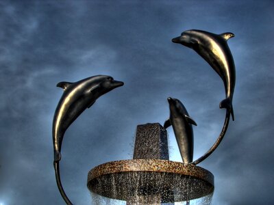 Sculptures dolphin fountain photo