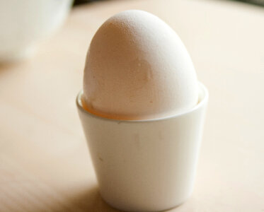 Egg In A Cup