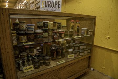 Different Mustards from Europe