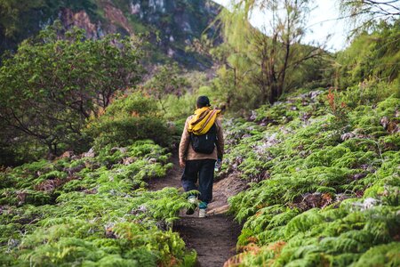 Hiking The Path Up