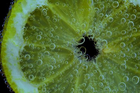 Bubble diet dietary