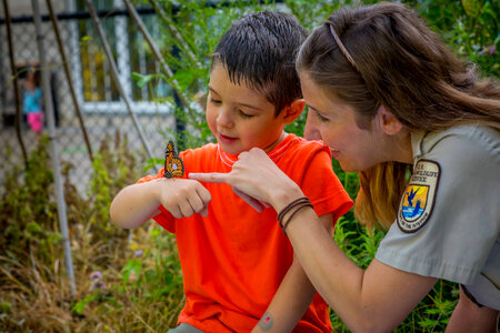 FWS employee and little boy look at tagged monarch-2