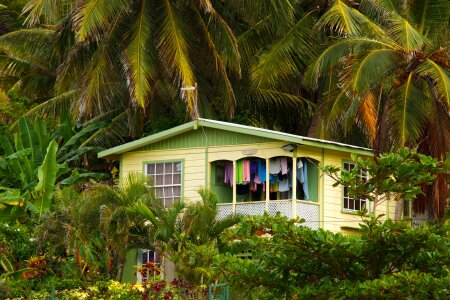 Wooden house travel