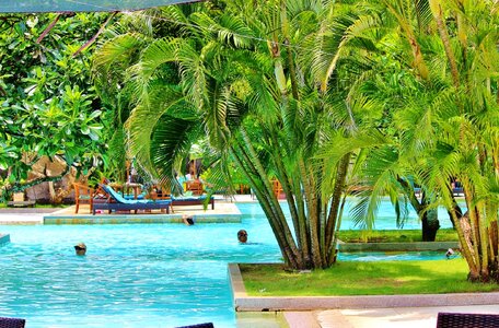 Tropical island exotic tourism