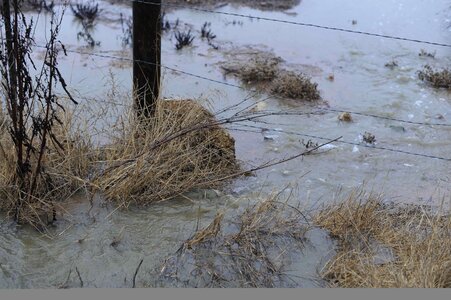 Outflow  