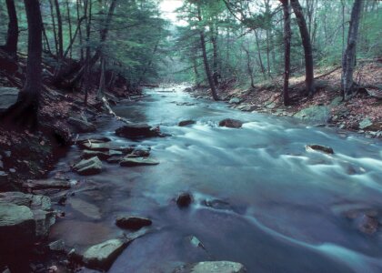 River flowing maryland photo