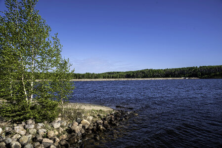 Lakeshore and landscape at Hutch Lake photo