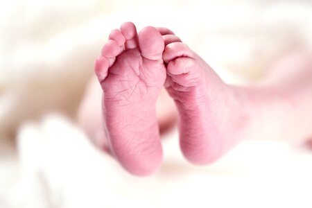 Newborn feet child photo