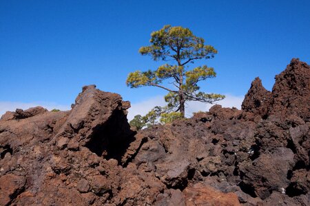 Boulders lunar landscape tenerife photo