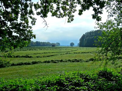 Mow section field