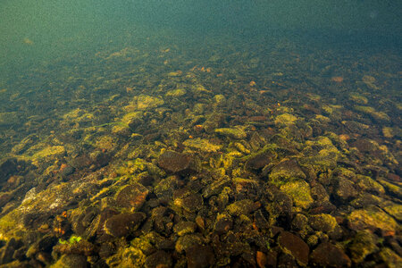 Andreafsky River