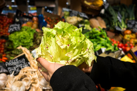 Holding lettuce in a grocery store photo