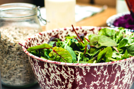 Fresh salad leaves in a bowl photo