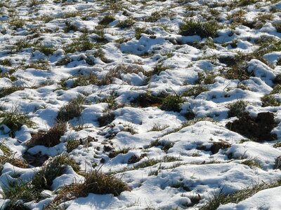 Snow winter cold