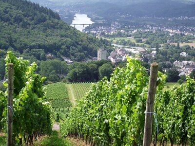 Water moseltal mountains