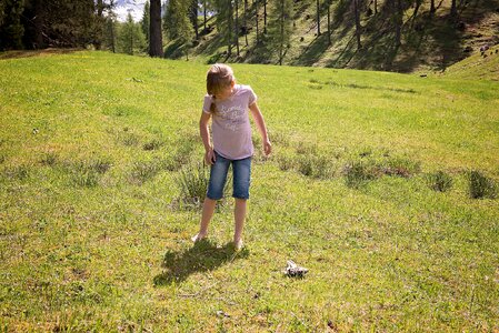 Meadow out nature
