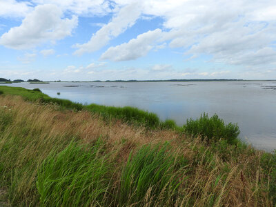 Scenic view from the Wildlife Drive at Bombay Hook National Wildlife Refuge