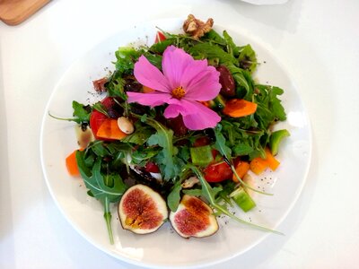 Vegetarian healthy bio