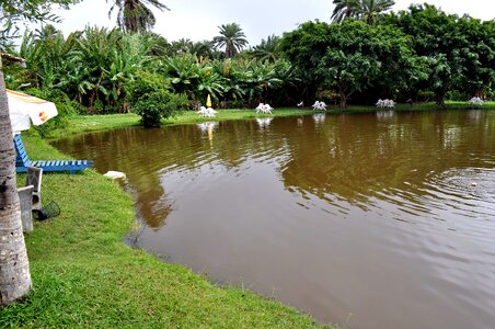 Garden lake plastic